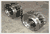 Stainless Rotors